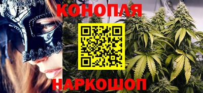 сатива Будённовск