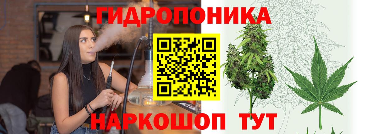 Каннабис White Widow  Конопля Bruce Banner  Вход с VPN  Славянск-на-Кубани 